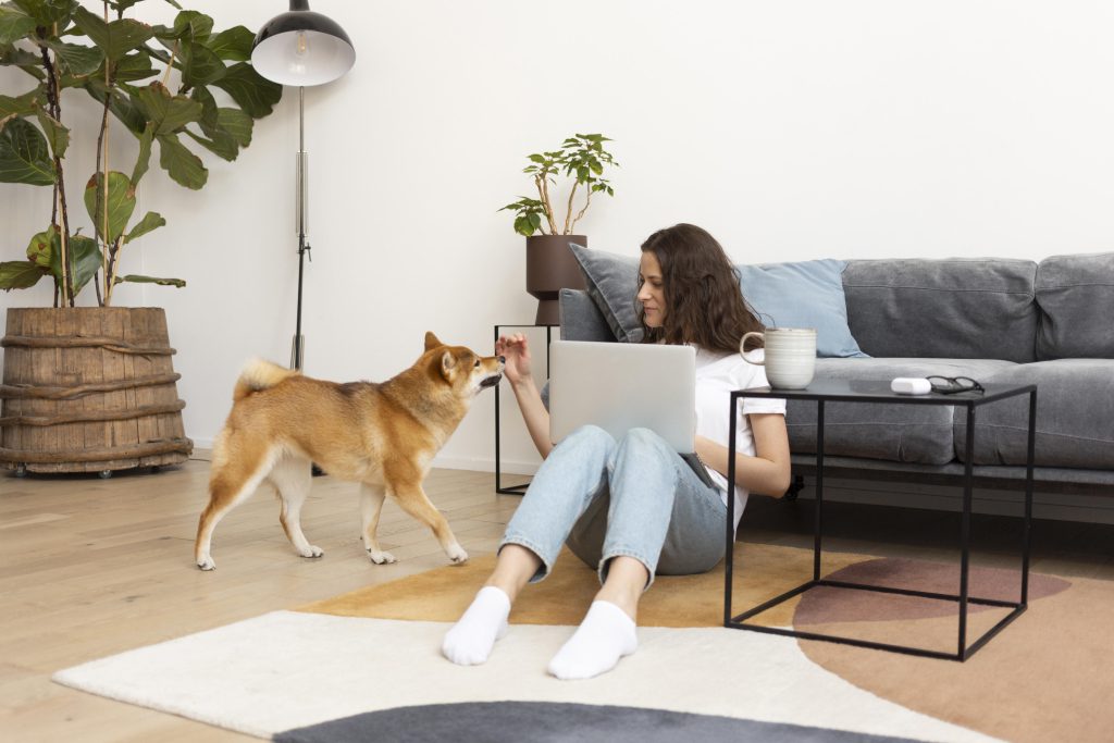 woman trying work with her dog around